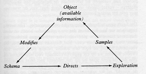 Neisser 1976 schema p. 21
